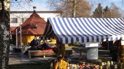 DSC00681.JPG